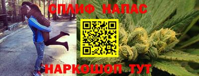 эйфоретик Камышлов
