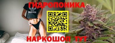 гидра Кандалакша