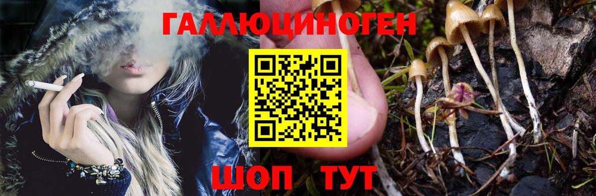 Кузнецк  Галлюциногенные грибы Cubensis  Вход с VPN 